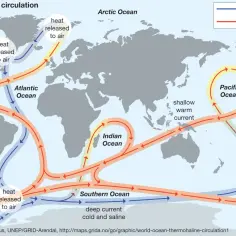 Schemat przedstawia ruch wód oceanu, tworząc globalną krzyżówkę prądów ciepłych i zimnych, wpływających na klimat.