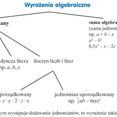 Drzewo klasyfikujące wyrażenia algebraiczne: jednomiany (liczby, litery, iloczyny) i sumy algebraiczne.
