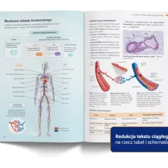 Schemat układu krwionośnego z podręcznika "Nowa Era Biologia" przedstawia budowę tętnic, żył i naczyń włosowatych.