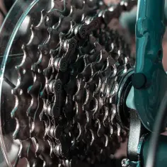 Zbliżenie na kasetę zębatą roweru, pokazującą mechanizm przerzutek.