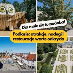 Odkryj magiczne miejsca na Podlasiu: plac z karuzelą, park z sową, pałac i urokliwe miasteczko.