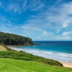 Zielony, porośnięty lasem klif Jastrzębia Góra schodzi do piaszczystej plaży. Lisi jar w oddali.