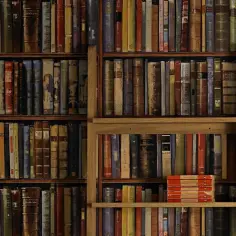Literatura popularnonaukowa - kompletny przewodnik dla każdego czytelnika