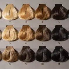 Próbki włosów od jasnego blondu po kruczoczarne. Widać tu różne odcienie i refleksy blond, od platynowego po złocisty.