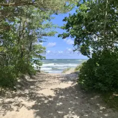Ścieżka przez las sosnowy prowadzi do plaży. W oddali widać morze i niebo. Rusinowo atrakcje to przede wszystkim piękna przyroda.