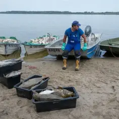 Wędkarz w niebieskim kombinezonie siedzi na łodzi, obok łodzi z rybami i czarnych pojemników z rybami na plaży.