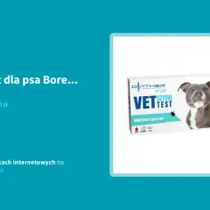Szczepionka na boreliozę dla psa: Cena, skuteczność czy warto?