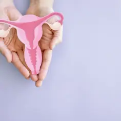 Dłonie trzymają model macicy, symbolizujący otwarta szyjka macicy w ciąży.