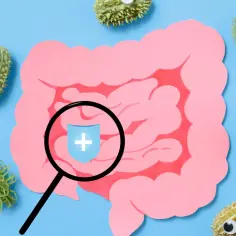 Urocze bakterie, w tym escherichia coli, otaczają jelita. Lupa pokazuje tarczę z krzyżem, symbolizującą ochronę.