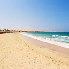 Czy jest bezpiecznie w Marsa Alam? Oto co musisz wiedzieć o zagrożeniach