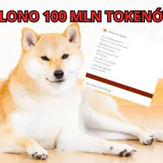 Kryptowaluta Shiba Inu: Fenomen rynku czy ryzykowna inwestycja?
