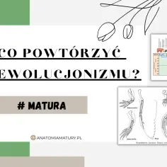 Drzewo filogenetyczne niedźwiedzi i schemat kończyn zwierząt ilustrują, jak życie potrafi ewoluować.