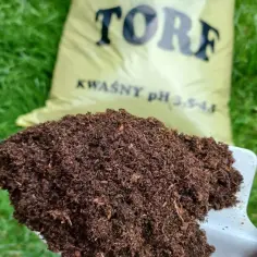 Łopatka z torfem na tle zielonej trawy i worka z napisem "TORF". Idealny do kwaśnolubnych roślin.