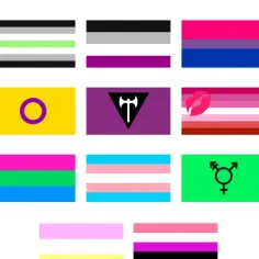 Kolekcja flag tęczowych i innych symbolizujących różnorodność płciową i seksualną. Widać, jak wygląda flaga gejów, panseksualna, transpłciowa i inne.