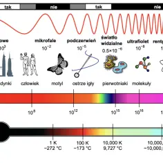 Spektrum elektromagnetyczne: rodzaje promieniowania od fal radiowych po promieniowanie gamma, ich długości fali, częstotliwość i przykłady obiektów.