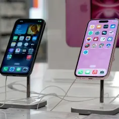 Dwa iPhone'y na wystawie sklepowej. Jeden czarny, drugi różowy. W tle widać różowy iPhone. Opłata reprograficzna może dotyczyć takich urządzeń.