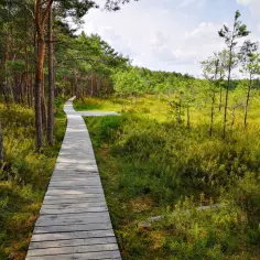 Najlepsze trasy rowerowe w Poleskim Parku Narodowym – sprawdź je teraz