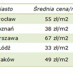 Ile kosztuje wynajem lokalu w galerii? Odkryj ukryte koszty!