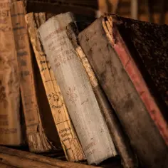 Stare księgi na półce, jakby zaginione z biblioteki aleksandryjskiej, szepczą historie.