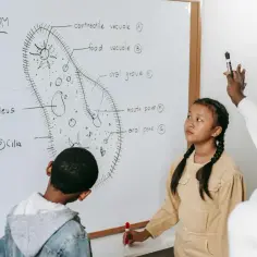 Uczniowie analizują rysunek Paramecium, ucząc się o jego budowie. Wiedza ta przyda się, gdy będą odpowiadać, ile jest punktów na maturze z biologii.