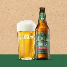 Szklanka i butelka piwa Miłosław Pilsner. Mętność w piwach typu pilsner haize może wynikać z otwartej fermentacji.