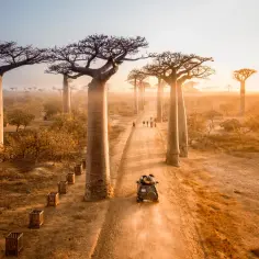 Madagaskar kiedy jechać: najlepszy czas na niezapomnianą podróż