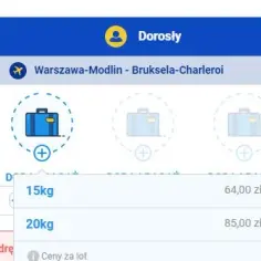 Ryanair bagaż rejestrowany ile przed odlotem, aby uniknąć problemów