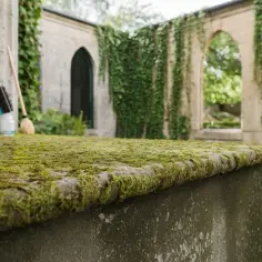 Skuteczne sposoby na usunięcie mchu z płotu betonowego bez wysiłku