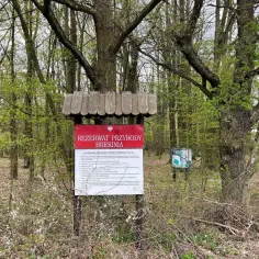 Rezerwaty przyrody Dolny Śląsk - Odkryj ich niezwykłe piękno i znaczenie