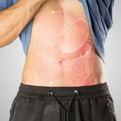 Anatomia jamy brzusznej z zaznaczonymi narządami. Ilustracja może sugerować pęknięcie woreczka żółciowego objawy.
