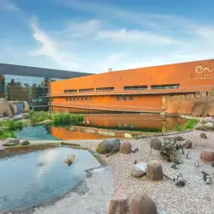 Wrocławskie zoo: pingwiny i nowoczesna architektura. Sprawdź zoo wrocław bilety cennik przed wizytą!