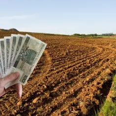 Dłoń trzyma banknoty 100 zł na tle zaoranego pola. Inwestycja w ziemię, ceny działek rolnych.