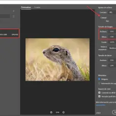 Jak zmniejszyć zdjęcie w Photoshopie bez utraty jakości i zniekształceń
