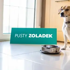 Pies siedzi obok pustej miski i zielonego banera z napisem "PUSTY ŻOŁĄDEK".