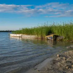 Dwa stare łodzie przy brzegu porośniętym trzciną nad jeziorem Świętajno. Spokojna woda i błękitne niebo z chmurami.