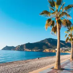 Słoneczna plaża w Alicante, palmy i błękitne morze. Idealna pogoda w listopadzie, by poczuć lato.