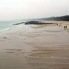 Spacerem po plaży, gdzie widać ślady po wodzie, jakby pytała, czy na Bałtyku są przypływy i odpływy. Ludzie spacerują, mewy siedzą.