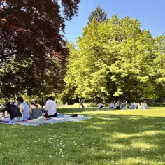 Grupa ludzi cieszy się piknikiem w parku, czując atmosferę agapy.