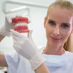 Dentystka w białych rękawiczkach pokazuje model szczęki z aparatem ortodontycznym. Zastanawiasz się, ile zarabia dentysta?