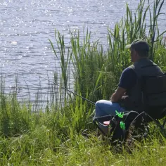 Mężczyzna siedzi na krześle wędkarskim nad jeziorem, łowiąc ryby wśród trzcin.