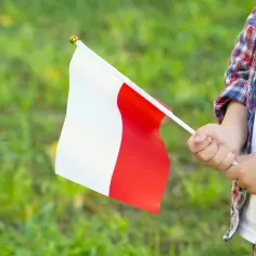 Dziecko trzyma polską flagę, dumne symbole narodowe na tle zielonej trawy.