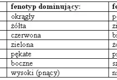 Czym jest genetyka? Proste wyjaśnienie podstaw biologii i jej znaczenie w życiu