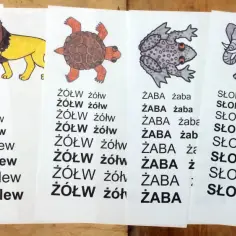 Zwierzęta i wyrazy do głoskowania dla sześciolatka: motyl, lew, żółw, żaba, słoń, tygrys.
