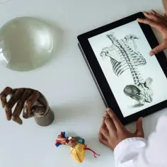 Jakie studia po rozszerzonej biologii? Odkryj najlepsze kierunki i możliwości