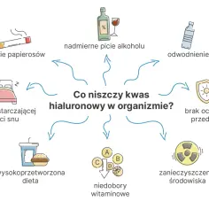 Nadmierne picie alkoholu, palenie, zła dieta, brak snu, odwodnienie, UV, zanieczyszczenia i niedobory witamin niszczą kwas hialuronowy.