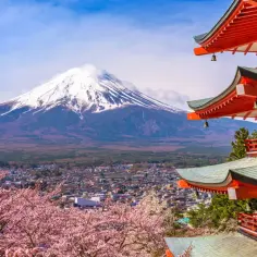 Piękna Japonia wycieczka: kwitnące wiśnie, czerwona pagoda i ośnieżony Fudżi.