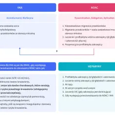 Porównanie VKA (np. acenokumarol) i NOAC. Wskazania dla VKA, gdy są przeciwwskazania do NOAC.