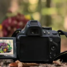 Jaka lustrzanka dla początkującego fotografa - uniknij błędów przy wyborze
