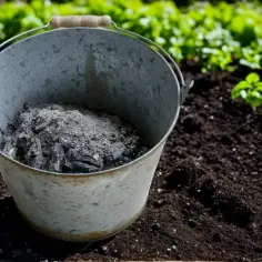 Popiół z pelletu pod jakie rośliny: unikaj błędów w nawożeniu