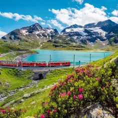 Czerwony pociąg Bernina Express wjeżdża na zakręt nad turkusowym jeziorem, otoczony alpejskimi łąkami i ośnieżonymi szczytami. Idealna wycieczka do Szwajcarii.